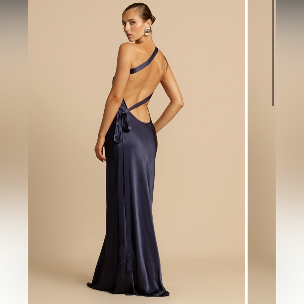 Arcina Ori Monique Dress NWT